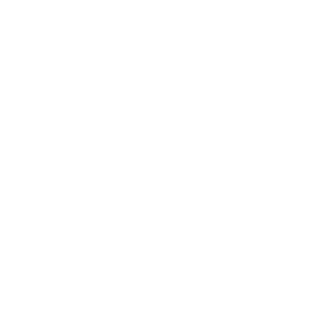 Efficiency icon